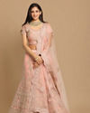 Elegant Pink Designer Lehenga